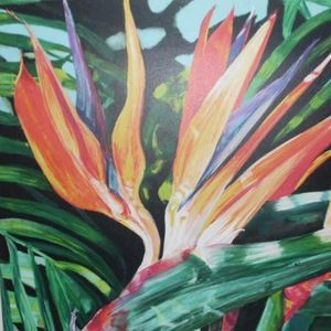 Meet your Posher, Kendra